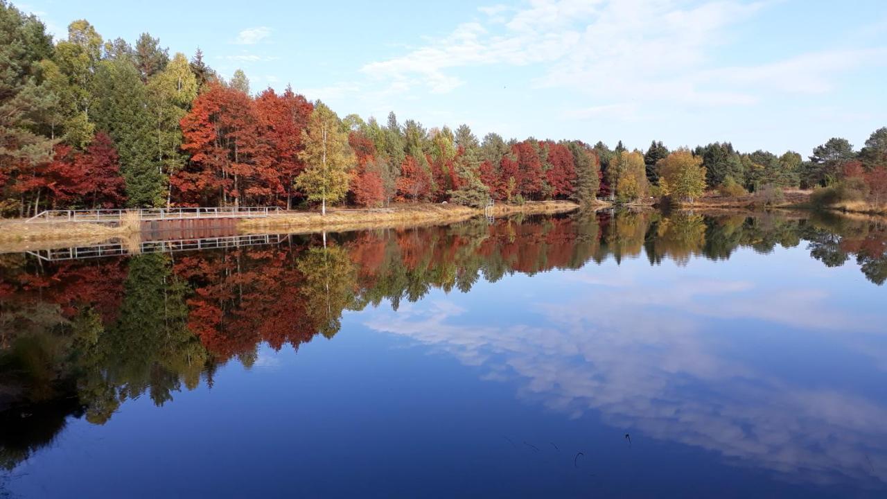 Naturhotel Hof Ehlers Bergen  Eksteriør billede