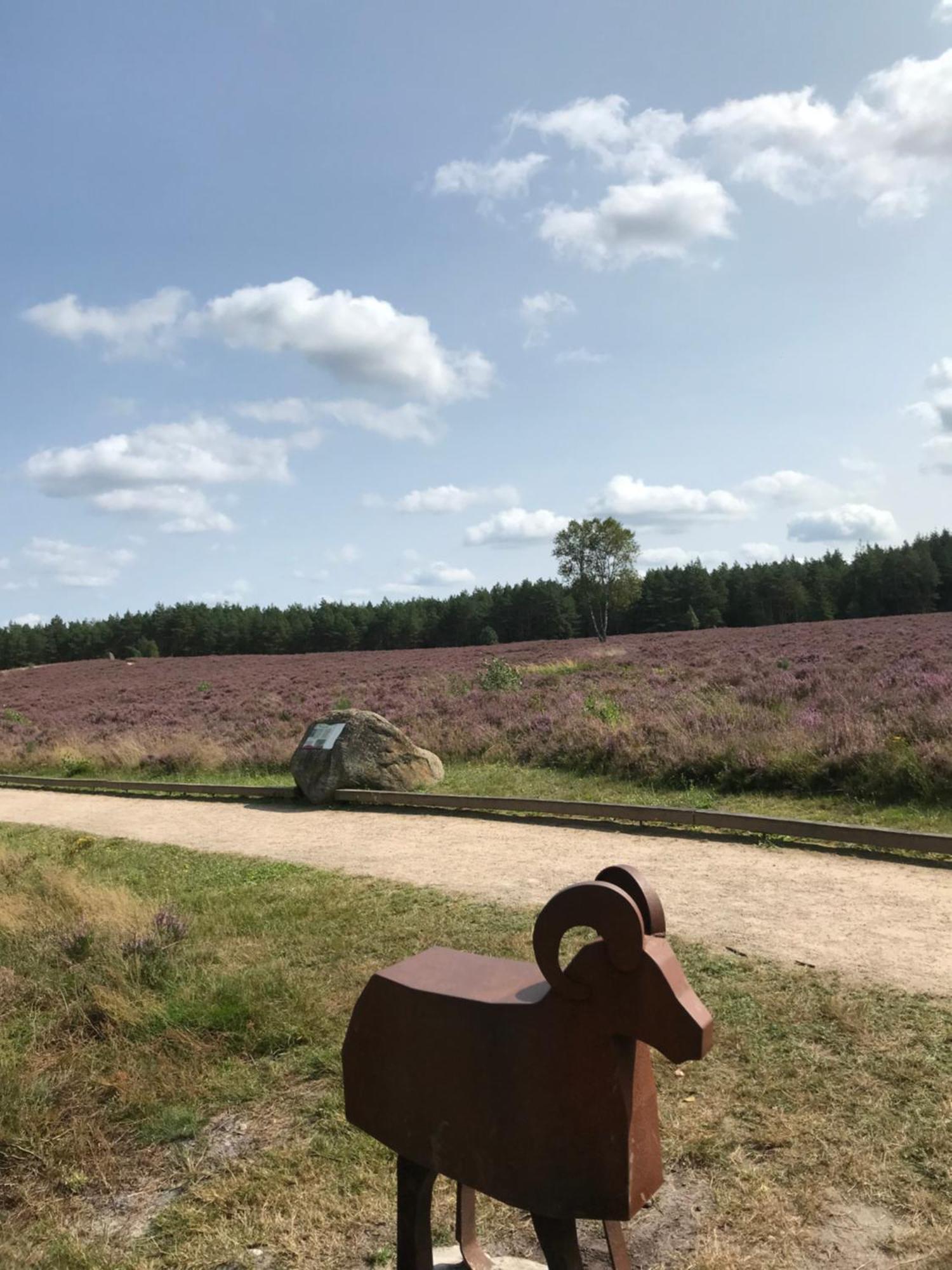 Naturhotel Hof Ehlers Bergen  Eksteriør billede